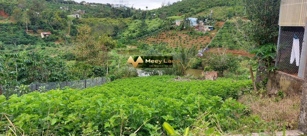 Bán đất vị trí thuận lợi gần Bảo Lộc, tỉnh Lâm Đồng