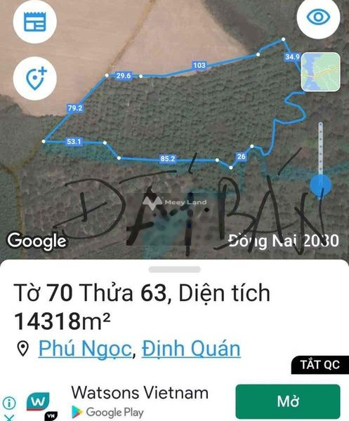 Giá bán siêu rẻ 5.1 tỷ bán đất có diện tích trung bình 17318m2 vị trí đẹp nằm trên Phú Ngọc, Đồng Nai-01