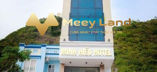 Bán nhà vị trí tốt tại Tùng Dinh, Cát Hải giá bán thực tế chỉ 15.9 tỷ có diện tích 89 m2 hướng Nam tổng quan căn nhà này có 18 phòng ngủ-03