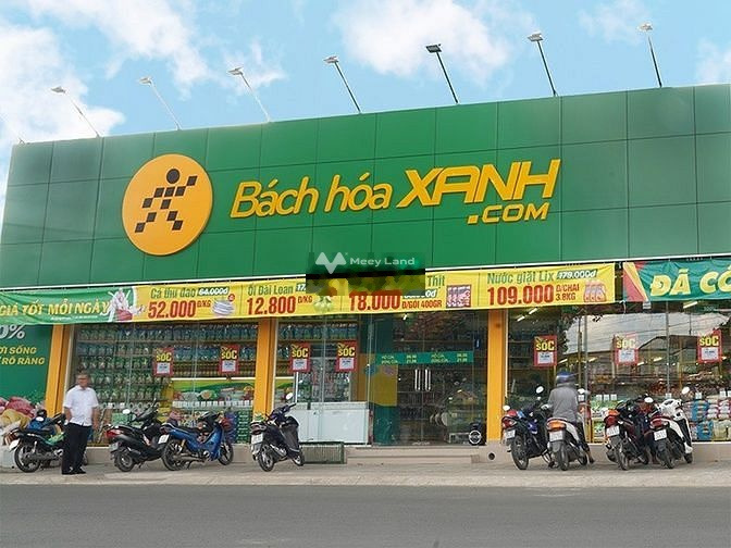 Ngay Tân Định, Bến Cát bán đất 1.1 tỷ diện tích rất rộng 360m2-01