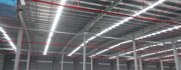 Cho thuê kho bãi diện tích 3600m2 vị trí mặt tiền gần Hải An, Hải Phòng-03