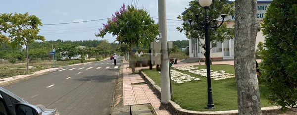 Tân Phước, Bình Phước bán đất giá rẻ bất ngờ 700 triệu có diện tích gồm 300m2-03