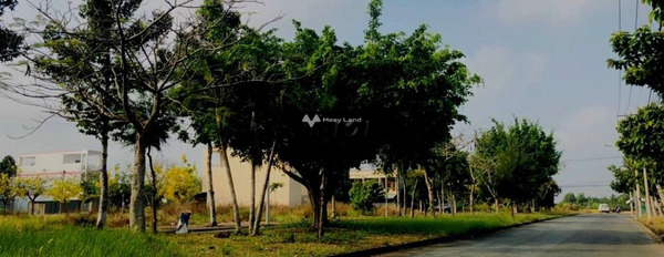 Giá bán thỏa thuận 1.25 tỷ bán đất có diện tích quy ước 80m2 vị trí đẹp ngay Lợi Bình Nhơn, Tân An-03