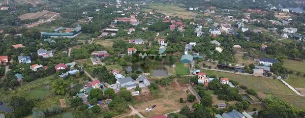 Bán đất tại Phú Thịnh, Sóc Sơn, Hà Nội. Diện tích 250m2-03