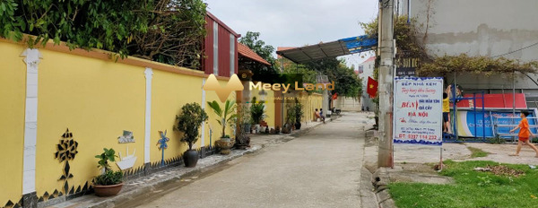 Bán đất Có tổng diện tích 160 m2 tọa lạc ngay Thị Trấn Thắng, Bắc Giang-02