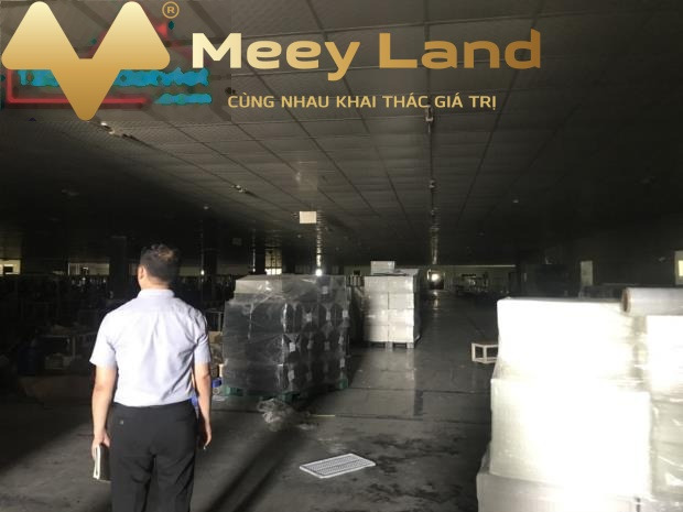 Vị trí tốt tại Hoàn Sơn, Bắc Ninh cho thuê kho bãi 8000 m2 giá siêu mềm chỉ 648 triệu/tháng phù hợp mở shop-01
