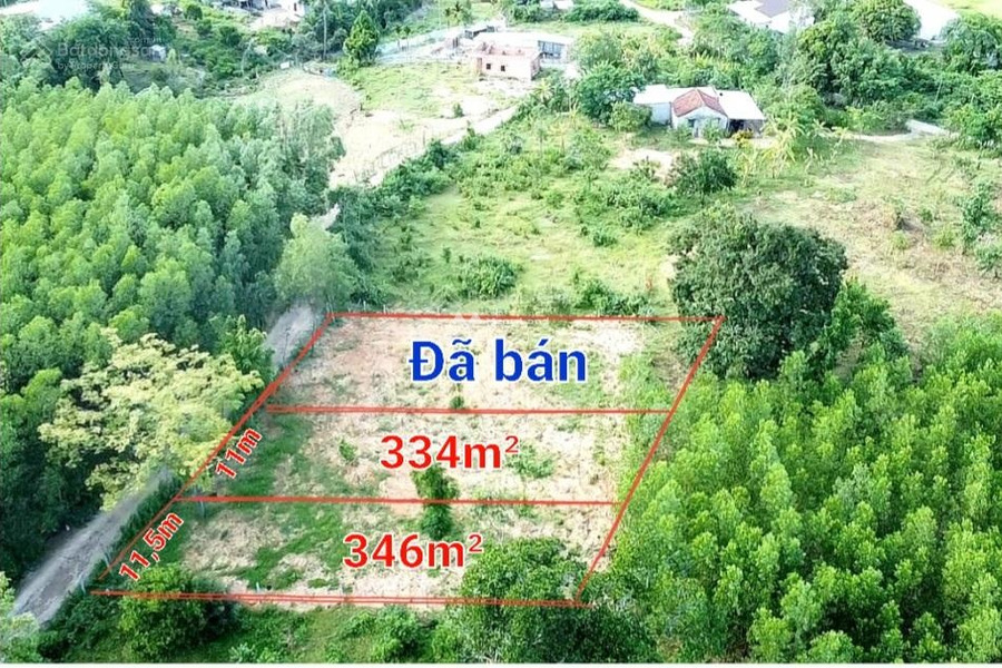 Chuyển định cư bán mảnh đất, 334m2 giá mua liền chỉ 400 triệu vị trí thuận lợi nằm tại Hương Lộ 62, Khánh Phú, hướng Tây - Nam trao đổi trực tiếp-01