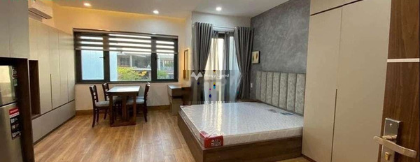 Căn hộ 1 phòng ngủ, cho thuê căn hộ vị trí đặt ở trung tâm Hải Châu, Đà Nẵng, tổng quan căn hộ bao gồm 1 PN, 1 WC cực kì tiềm năng-02