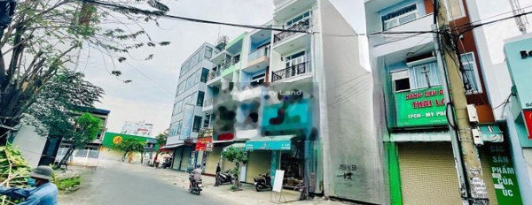 Diện tích 77m2 bán nhà ở vị trí tốt ở Tân Phú, Hồ Chí Minh tổng quan trong ngôi nhà 3 phòng ngủ cảm ơn đã xem tin-02