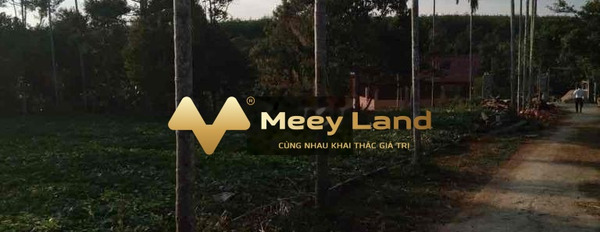 Bán đất vị trí thuận lợi tọa lạc gần Mậu Thân, Đắk Lắk-02