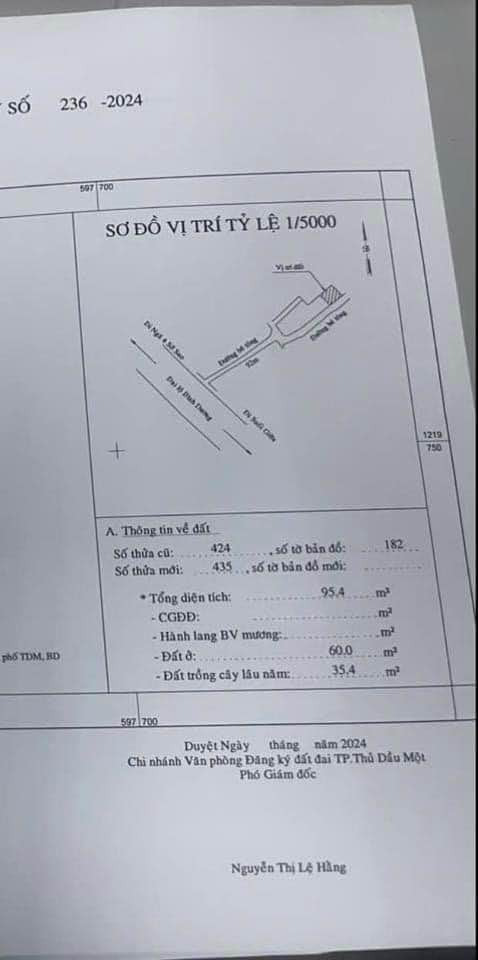 Bán đất thành phố Thủ Dầu Một tỉnh Bình Dương giá 1.65 tỷ-3