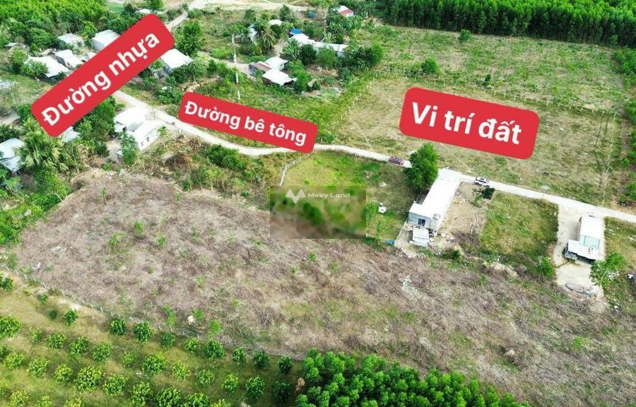 Vị trí đặt ở trung tâm Khánh Hiệp, Khánh Vĩnh bán đất giá rẻ bất ngờ 210 triệu có diện tích tiêu chuẩn 230m2-01