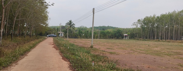 Đất thổ cư, sổ sẵn giá rẻ chỉ từ 390 triệu tại Lộc Tấn, Lộc Ninh-02
