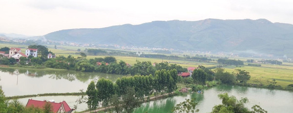 Khoảng 300 triệu bán đất có diện tích 220m2 vị trí thuận lợi tại Quốc Lộ 37, Bắc Giang-03