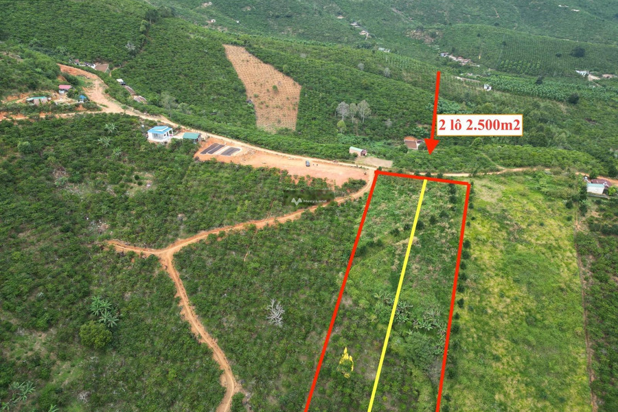 Bán đất 1.3 tỷ Bảo Lộc, Lâm Đồng diện tích sàn là 2500m2-01