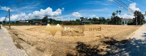 Khoảng 595 triệu bán đất với dt là 100 m2 vị trí tốt tại Diên Khánh, Khánh Hòa-02
