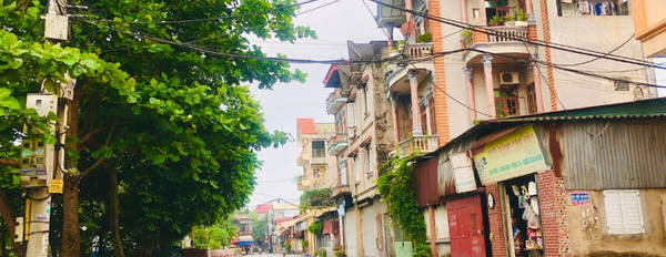 Mua bán nhà riêng thị xã Từ Sơn, tỉnh Bắc Ninh, giá 850 triệu-03