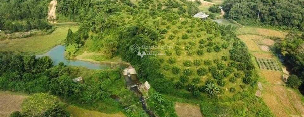 Cần bán 2,6ha đất thổ cư hình bát úp trồng full cây ăn quả view tuyệt đỉnh tại Kỳ Sơn Hòa Bình gặp để trao đổi-02