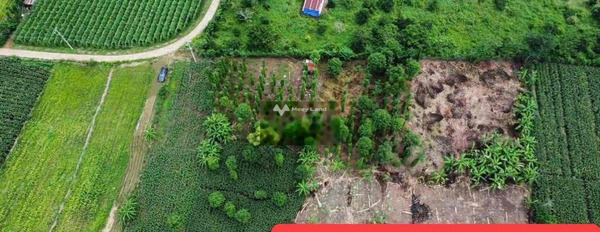 Bán đất 2.76 tỷ Lâm San, Đồng Nai diện tích thực như trên hình 5966m2-03