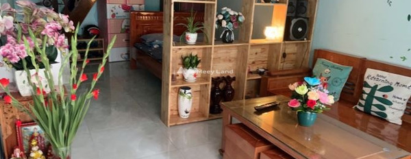 Bán nhà bán ngay với giá ưu đãi từ 1.55 tỷ có diện tích gồm 45m2 tọa lạc ngay trên Nguyễn Huệ, Tuy Hòa-03