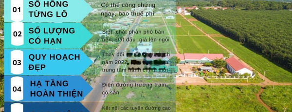 Bán mảnh đất 132m2 giá bán hiện tại 550 triệu vị trí ở Ea Tóh, Đắk Lắk giá tốt nhất-03