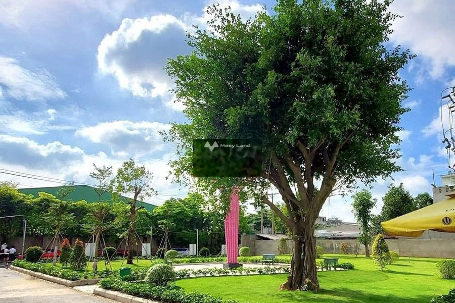 Bán căn hộ chung cư diện tích 52m2 vị trí đẹp tại Nguyễn Du, Thuận An-01