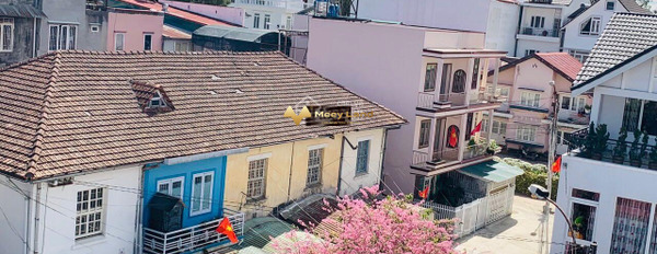 Bán nhà 2 mặt tiền hẻm oto, cách đường chính 50m ở Bùi Thị Xuân, Đà Lạt-02
