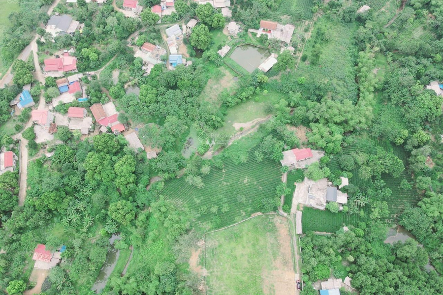 Bán đất tại Lương Sơn, Hòa Bình. Diện tích 2230m2-01