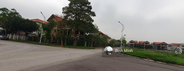 Bán đất giá 9,9 tỷ, diện tích 330m2 tại Võ Văn Kiệt, Mê Linh-02