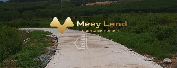 Huyện Diên Khánh, Tỉnh Khánh Hòa bán đất, hướng Đông Nam diện tích rộng 10000 m2-02