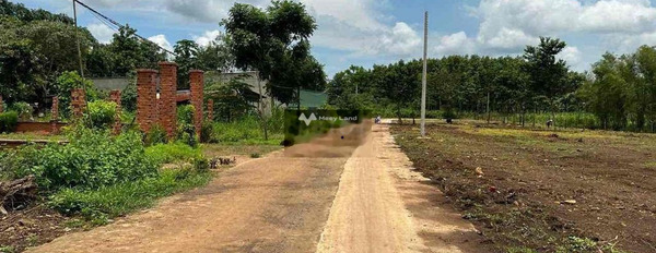 450 triệu bán đất tổng diện tích là 200m2 vị trí thuận tiện ngay tại Bình Long, Bình Phước-03