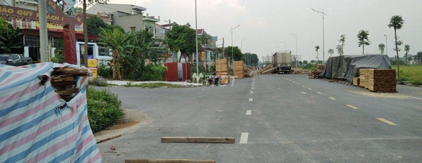 Vị trí phát triển Dĩnh Trì, Bắc Giang bán đất giá đề cử chỉ 2.31 tỷ với diện tích tiêu chuẩn 75m2-02