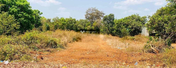 Giá bán mua ngay 990 triệu, Bán đất có diện tích sàn 200m2 vị trí thuận lợi ở Cư Êbur, Đắk Lắk khu vực tiềm năng-02