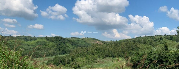 Sông Hinh, Phú Yên bán đất giá gốc chỉ 550 triệu có diện tích chung là 14m2-02