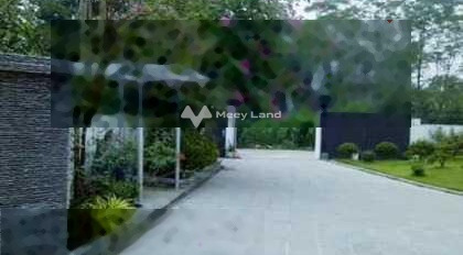 Bán biệt thự nhà vườn xinh đẹp gần 1000m2 giá tốt tại Phú Mãn khu vực dân cư-03