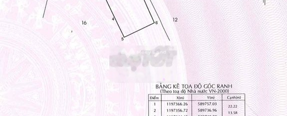 Vĩnh Lộc A, Bình Chánh bán đất giá chính chủ chỉ 45 tỷ có một diện tích 3000m2-03