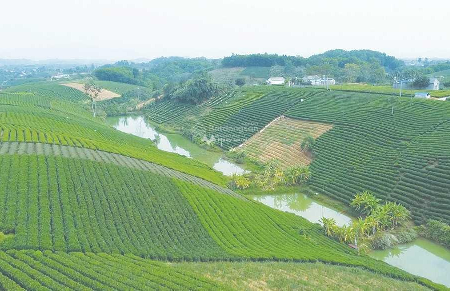 Tại Kosy - Sông Công bán đất diện tích mặt tiền 100m2 vị trí đặt tọa lạc ở Thắng Lợi, Sông Công, hướng Đông - Nam-01