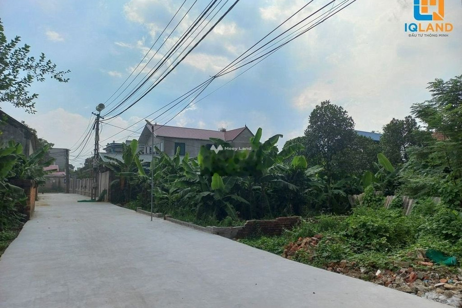 Bán đất vị trí đặt tọa lạc gần Quang Tiến, Sóc Sơn. Diện tích 50,5m2-01