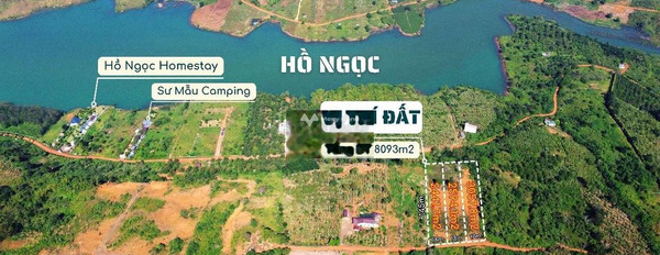 Ở Bảo Lâm, Lâm Đồng bán đất 20 tỷ diện tích rộng là 8000m2-03