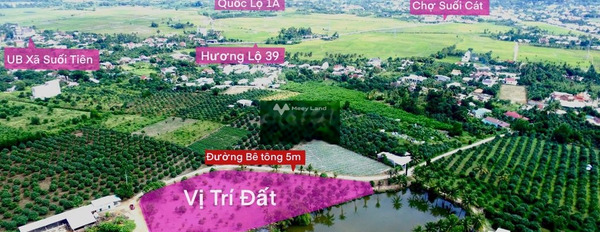 Bán đất 433 triệu Diên Khánh, Khánh Hòa Diện tích nền 540m2-02