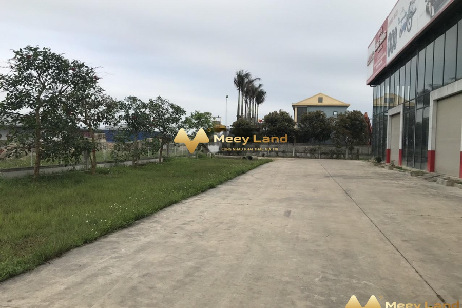 Vị trí trung tâm Hà Tĩnh, Hà Tĩnh cho thuê kho bãi 320m2, giao thông thuận lợi-01