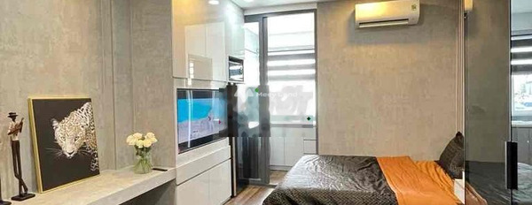 Chung cư 1 phòng ngủ, cho thuê căn hộ tọa lạc tại Phường 12, Hồ Chí Minh, tổng quan căn hộ thì gồm có 1 PN, 1 WC lh thương lượng thêm-03