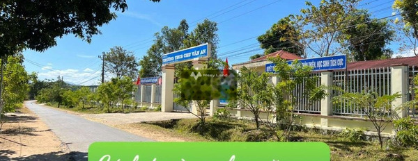 Yang Tao, Huyện Lắk 165 triệu bán đất diện tích chung quy 250m2-03