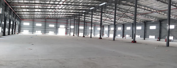 Đất, kho nhà xưởng tại Trâu Quý Gia Lâm - Diện tích 12.000m2-03