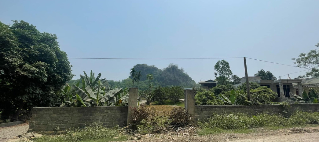 Bán nhà riêng huyện Lương Sơn tỉnh Hòa Bình, giá 1 tỷ