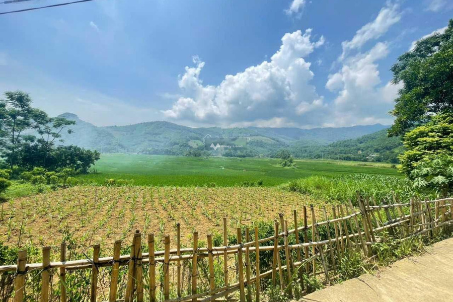 Chính chủ cần bán mảnh đất có view tuyệt đẹp tại Xã Cư Yên - Lương Sơn - Hoà Bình. DT 500m/120mTC hãy nhấc máy gọi ngay-01