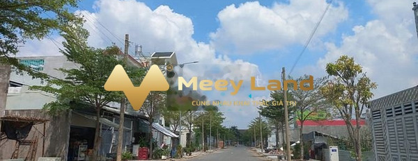 Bán đất Tân Tạo, Hồ Chí Minh, diện tích 80m2, giá 3,2 tỷ-03