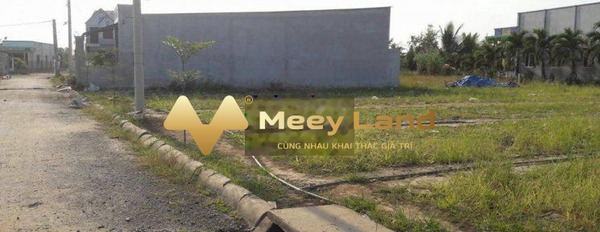 Ở Bình Chánh, Hồ Chí Minh bán đất 850 triệu có diện tích chuẩn 110m2-02