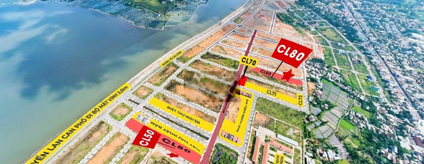 Giá 1.5 tỷ bán đất Diện tích nền 165m2 vị trí mặt tiền tọa lạc tại Trần Hưng Đạo, Nguyễn Nghiêm-03