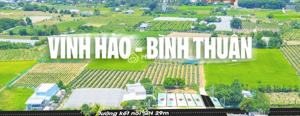 Vị trí nằm ở Tuy Phong, Bình Thuận bán đất, giá công khai chỉ 543 triệu có diện tích tiêu chuẩn 56.4m2-03